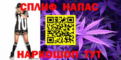прущие крисы Можга