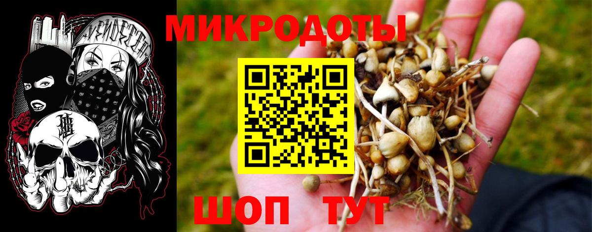 Галлюциногенные грибы Psilocybine cubensis  Вход с VPN  Азов  Галлюциногенные грибы мухоморы 